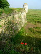 citadelle et marais de brouage