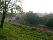 Braouga